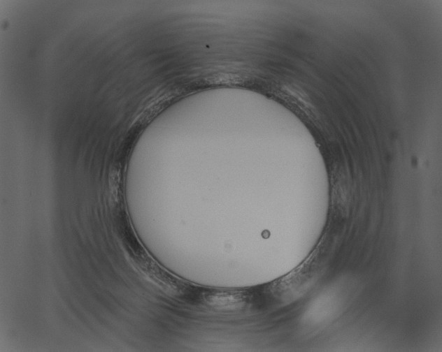 X0000062610171200601111018