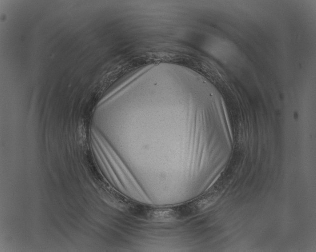 X0000062610173200601111018