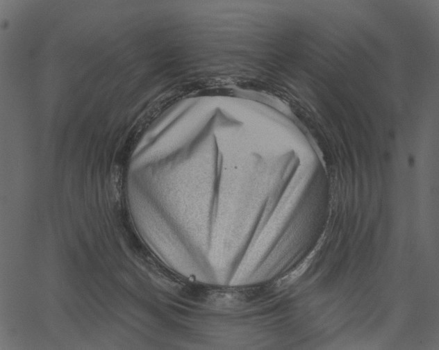 X0000062610174200601111018