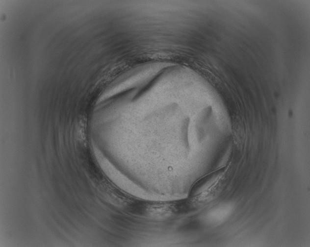 X0000062610175200601111018