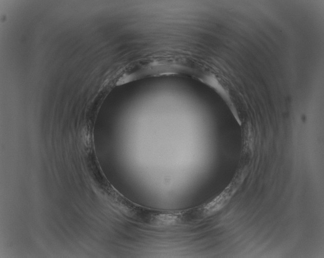 X0000062610176200601111018