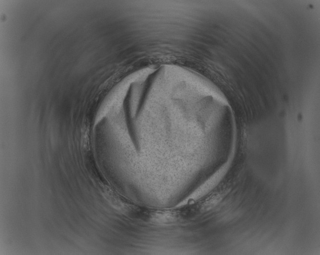 X0000062610177200601111018