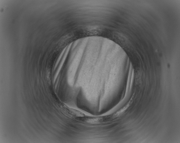 X0000062610178200601111018