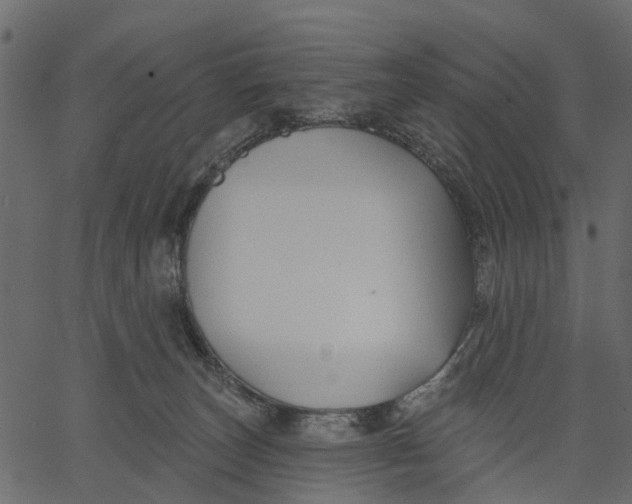 X0000062610179200601111018