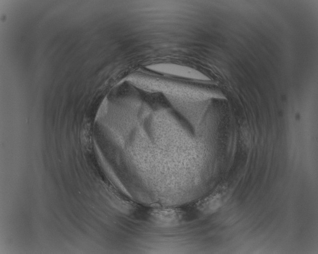 X0000062610181200601111018