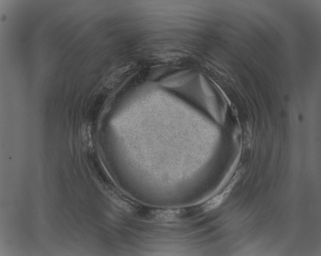 X0000062610182200601111018