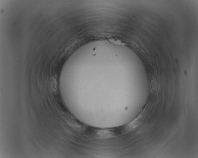 X0000062610183200601111018