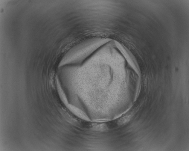 X0000062610185200601111018