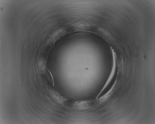 X0000062610186200601111018