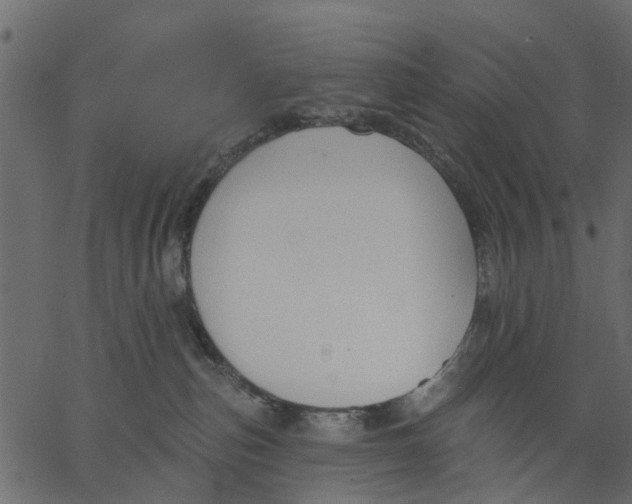 X0000062610187200601111018