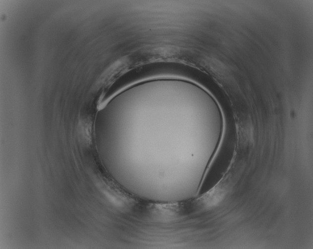 X0000062610188200601111018