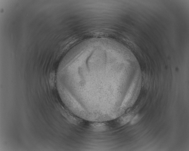 X0000062610189200601111018