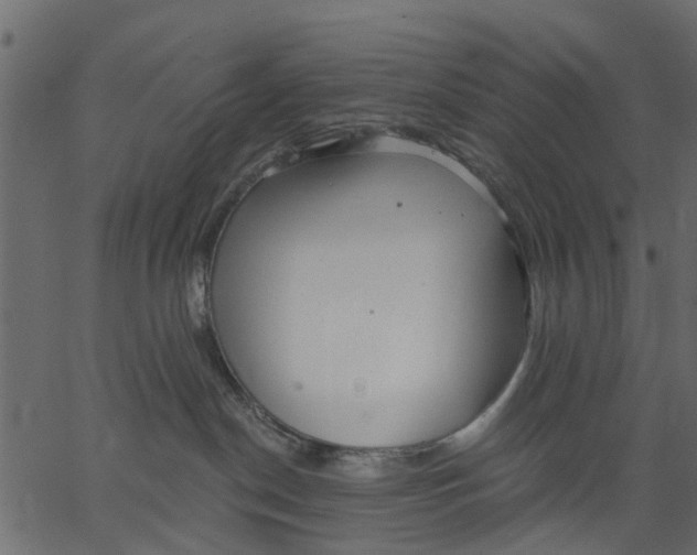 X0000062610190200601111018