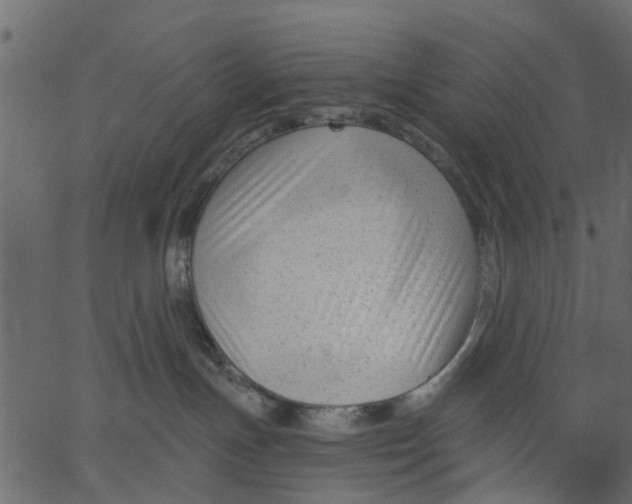 X0000062610191200601111018