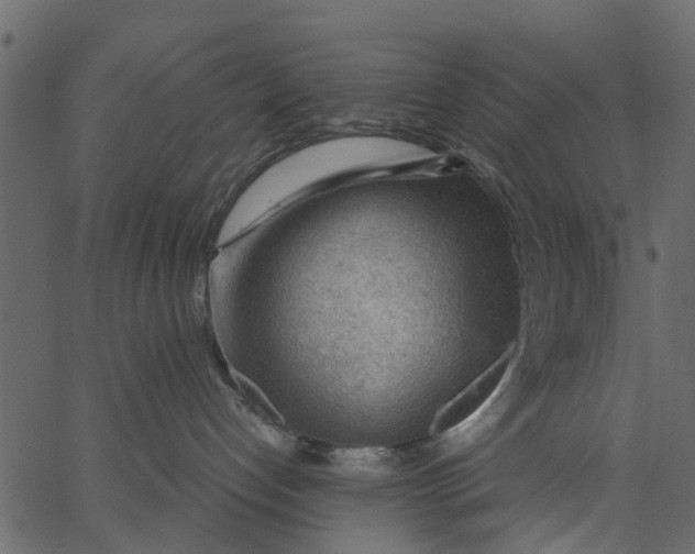 X0000062610192200601111018