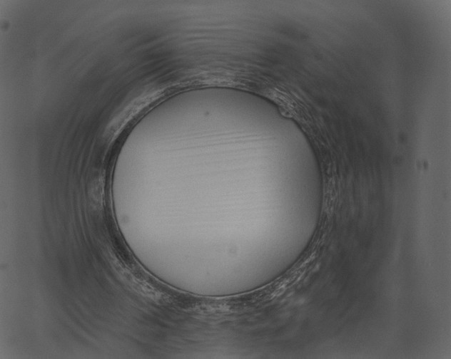 X0000062610194200601111017