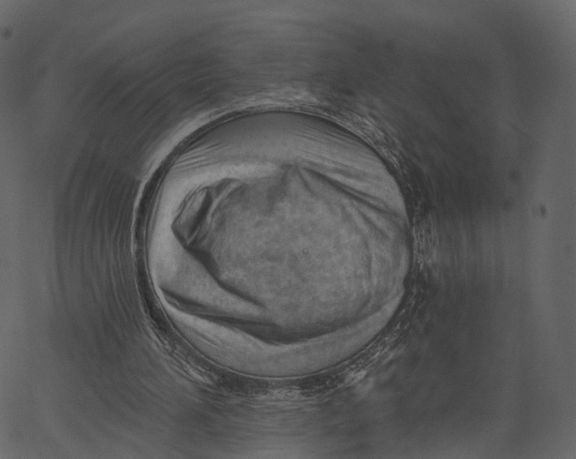 X0000062610196200601111017