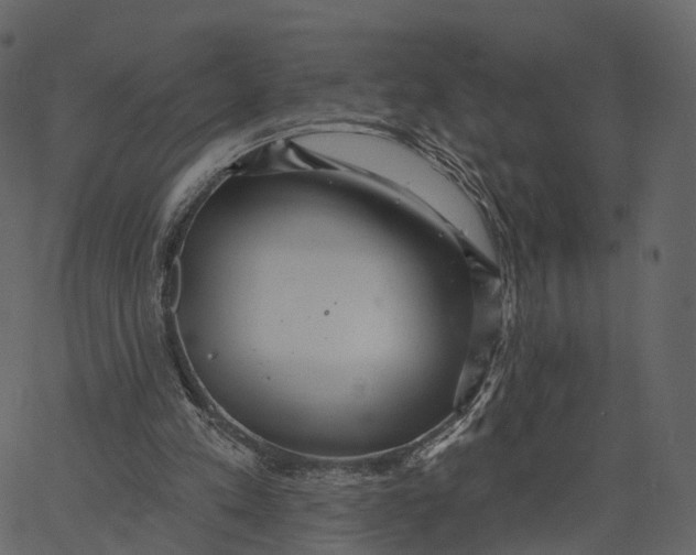 X0000062610197200601111017