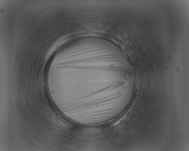 X0000062610198200601111017