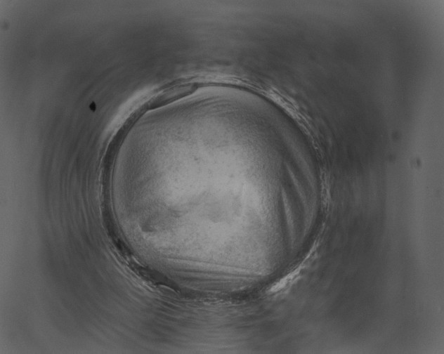 X0000062610199200601111017