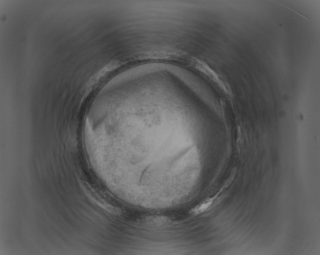 X0000062610203200601111017