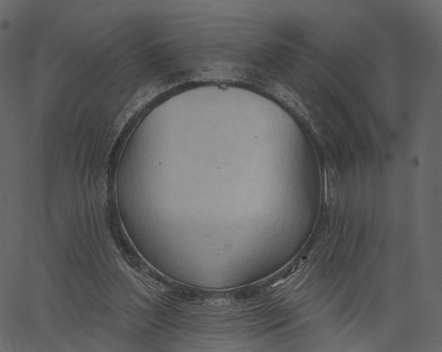 X0000062610204200601111017