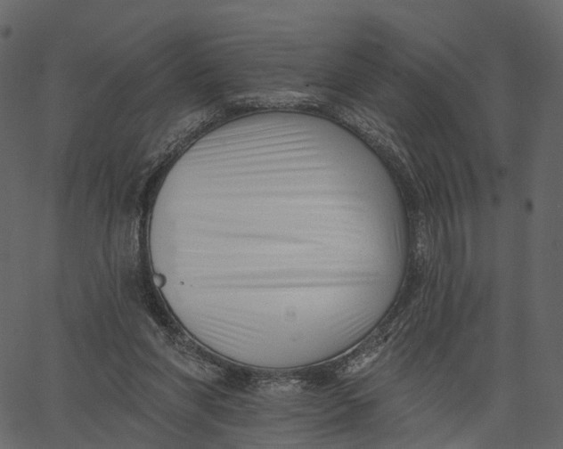 X0000062610206200601111017