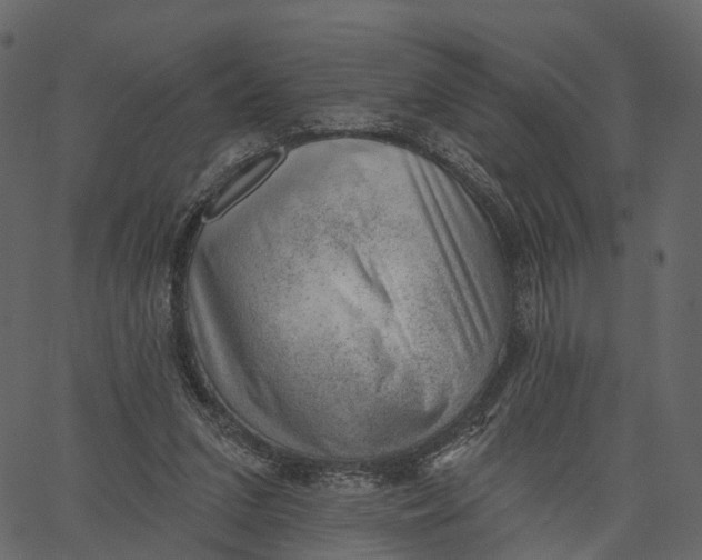 X0000062610207200601111017