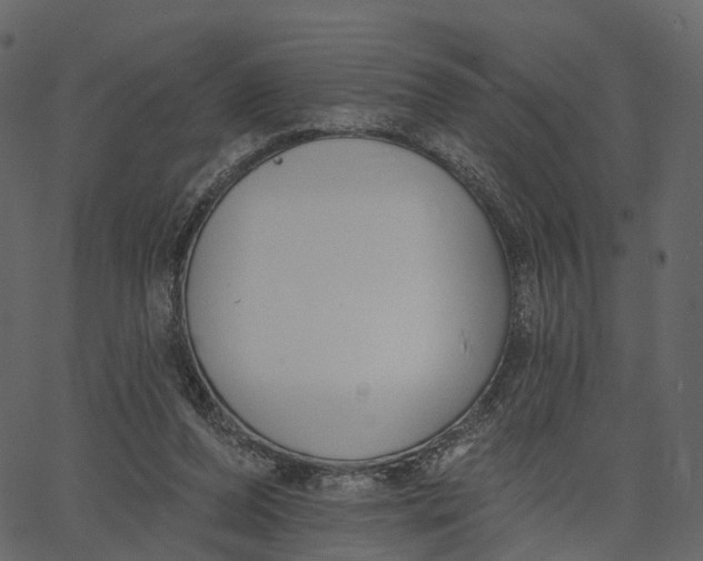 X0000062610208200601111017