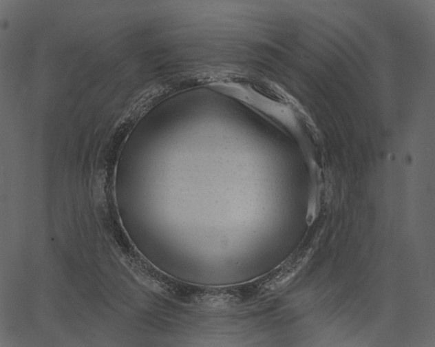 X0000062610209200601111017