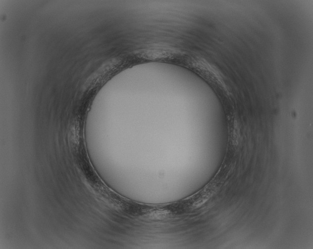 X0000062610210200601111017