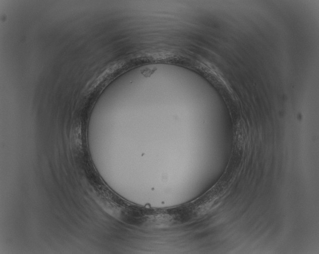 X0000062610212200601111017