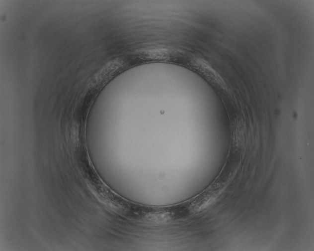 X0000062610213200601111017