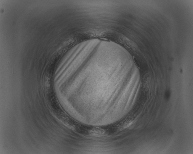 X0000062610215200601111017