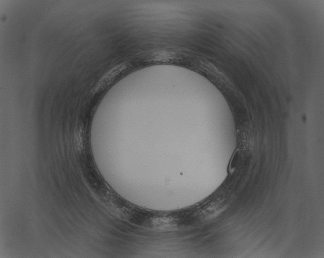 X0000062610216200601111017