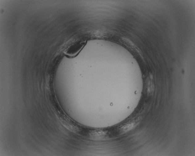 X0000062610217200601111017