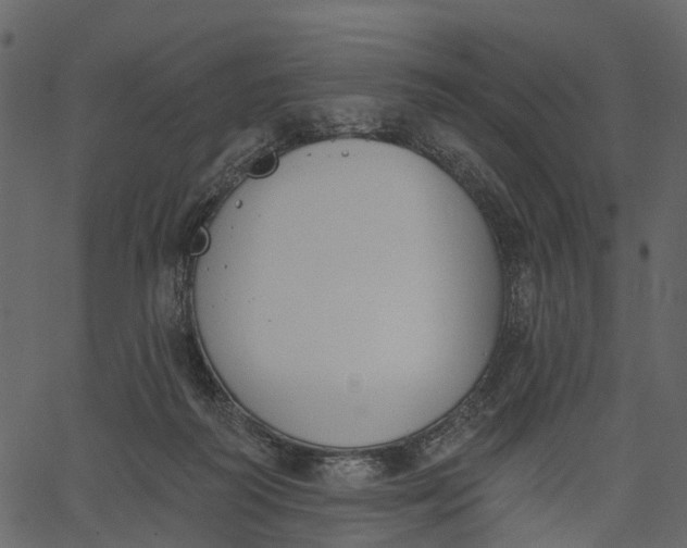 X0000062610218200601111017