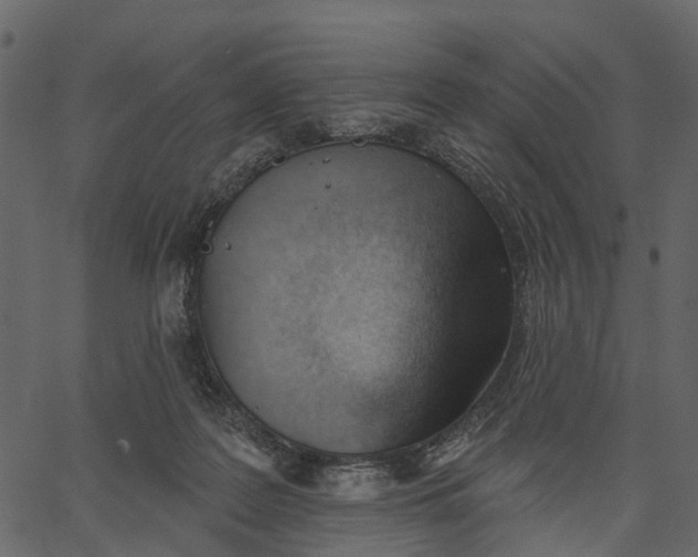 X0000062610219200601111017