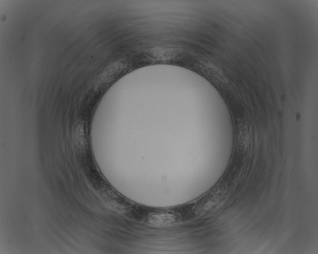 X0000062610220200601111017