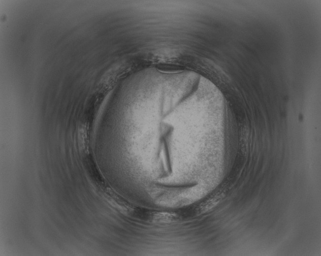 X0000062610222200601111017