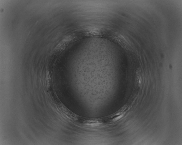 X0000062610223200601111017