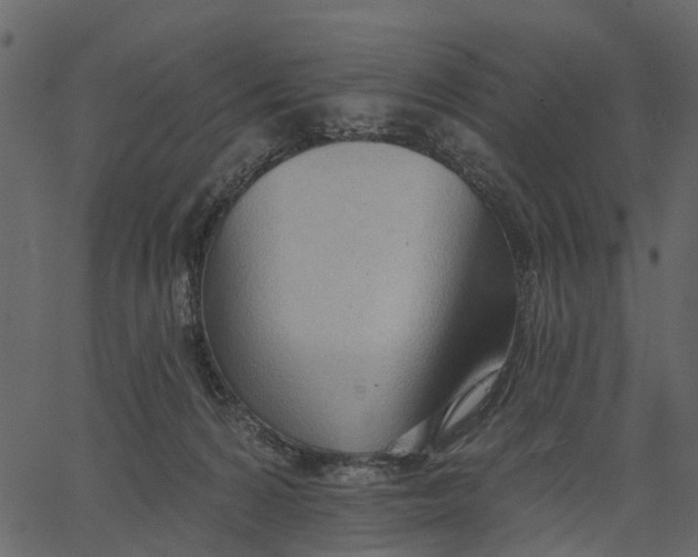 X0000062610224200601111017