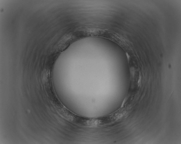 X0000062610225200601111017