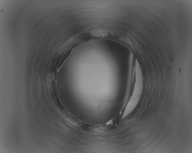 X0000062610229200601111016