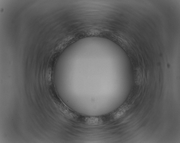 X0000062610230200601111016