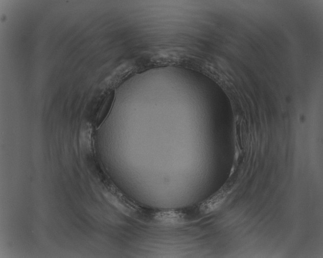 X0000062610231200601111016