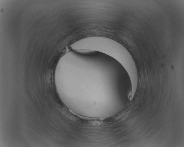 X0000062610233200601111016