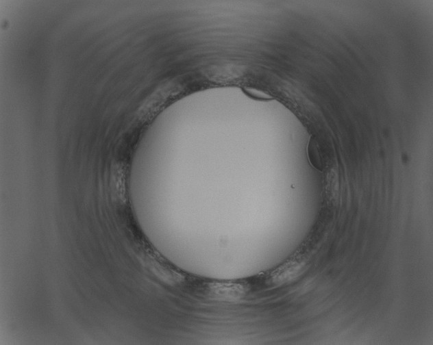 X0000062610234200601111016