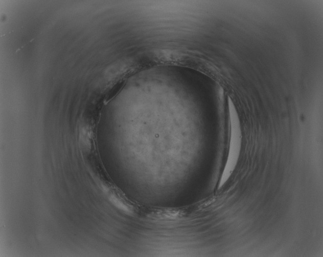 X0000062610235200601111016