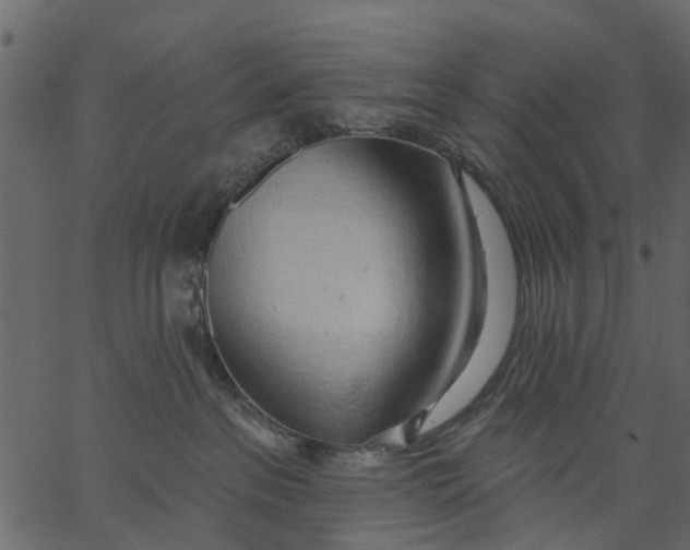 X0000062610237200601111016